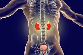 Adrenalectomy Surgery